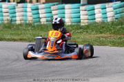 20110501_ales_agnus (2493)